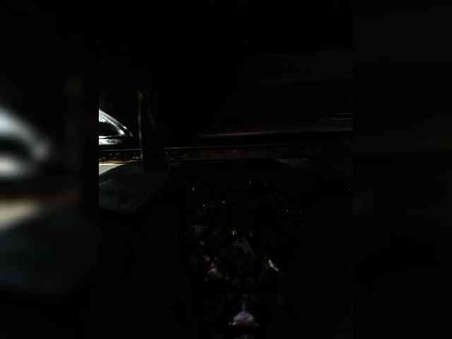 Nastya_fox webcam