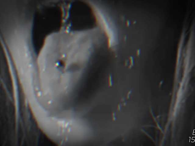 Devil2222 live cam on BongaCams