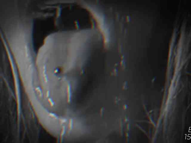 Devil2222 webcam