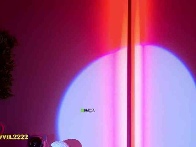Devil2222 webcam