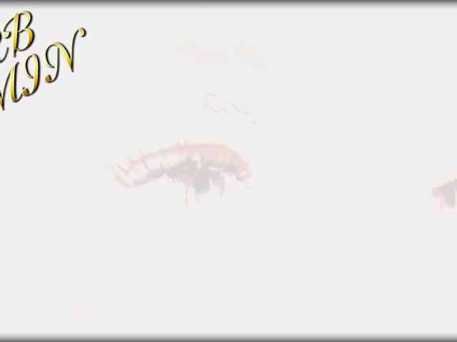 Devil2222 Sex Cam Show