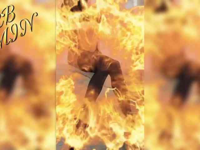 Devil2222 webcam