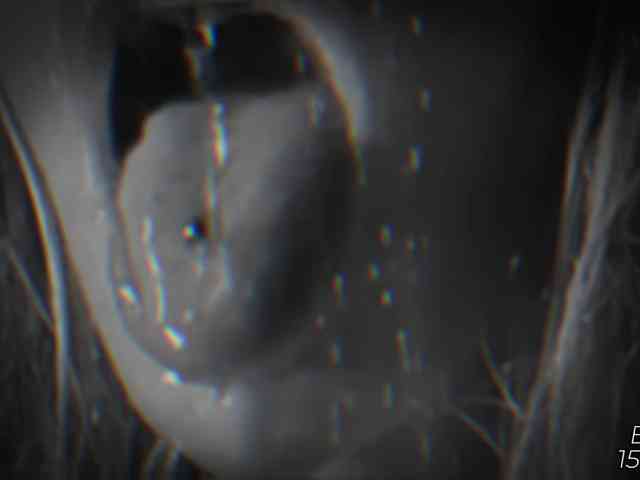 Devil2222 webcam