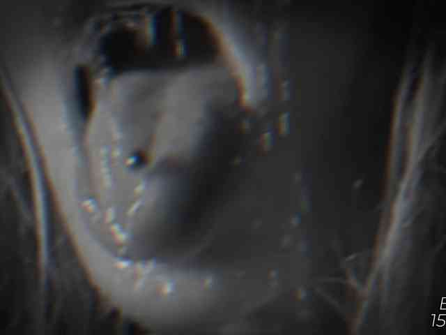 Devil2222 webcam