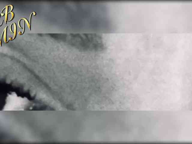 Devil2222 webcam