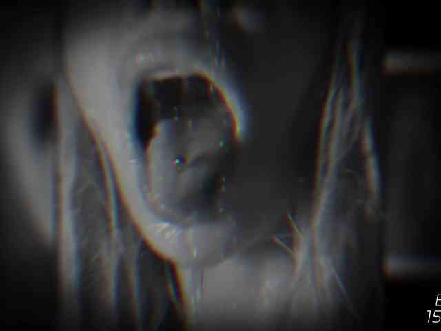 Devil2222 webcam