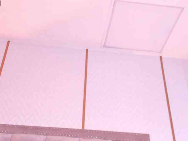 Dakotawangi's cam show statistics and live stream