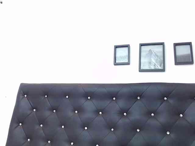 ivorynoir webcam