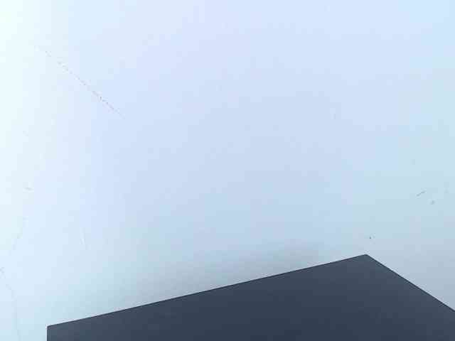ivorynoir