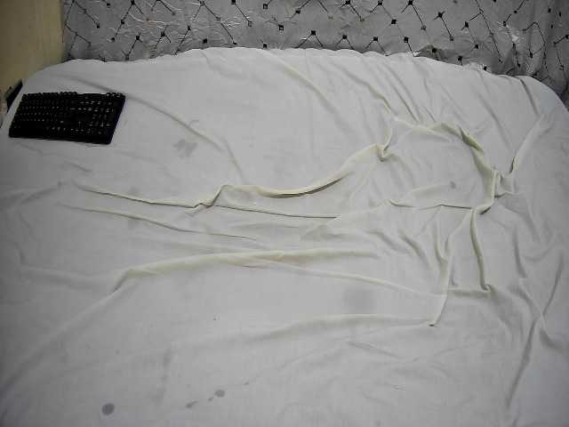 bigass-choco live cam on BongaCams