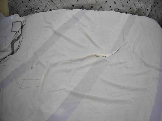 bigass-choco live cam on BongaCams