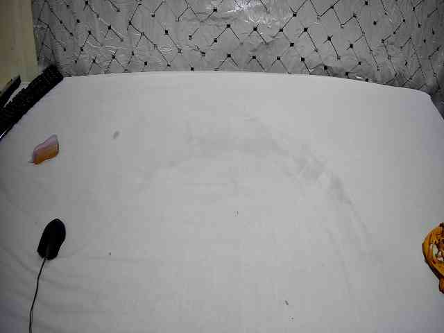 bigass-choco webcam