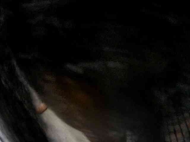 bigass-choco webcam