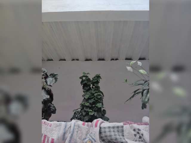 Ninfa-88 live cam on BongaCams