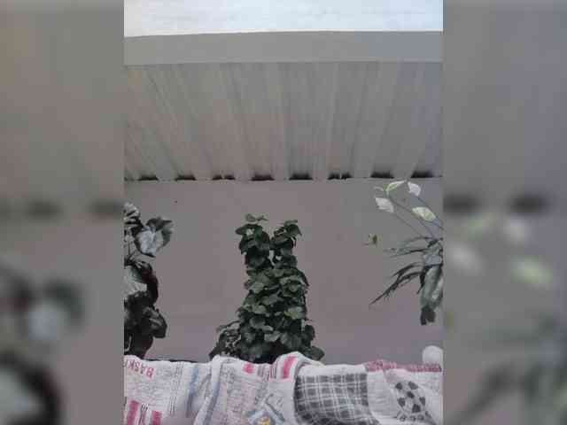 Ninfa-88 webcam