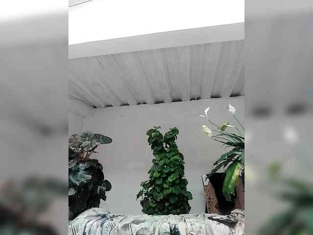 Ninfa-88 webcam