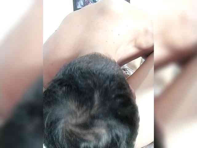 Modelo: Ninfa-88