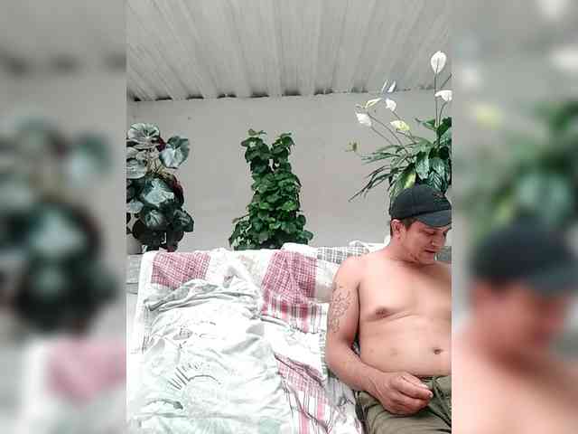 Modelo: Ninfa-88