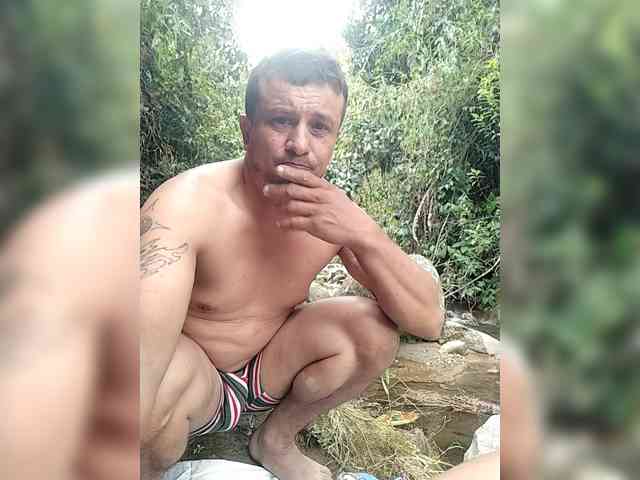 Modelo: Ninfa-88