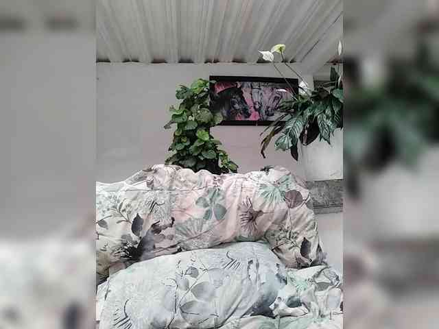 Ninfa-88 webcam