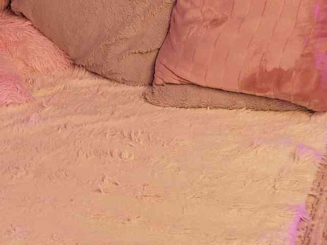 SugarMaple webcam