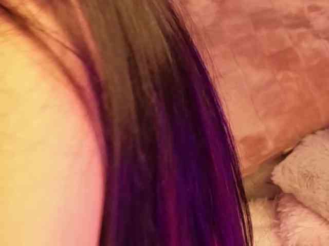 SugarMaple webcam