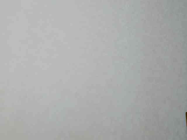 lostmoon webcam