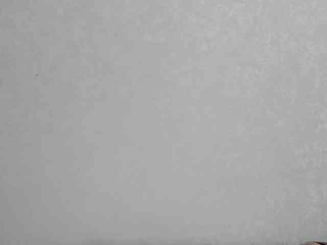 lostmoon webcam