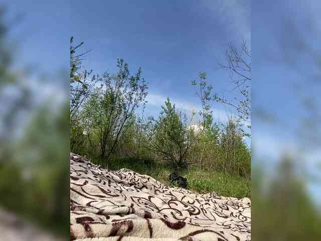 Azilanomi webcam