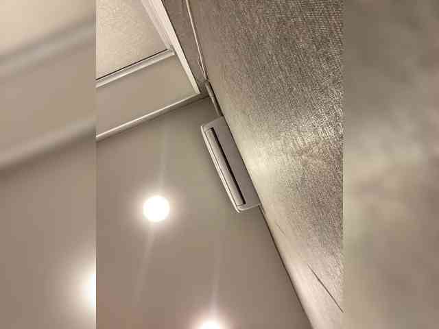 Nosikk Sex Cam Show