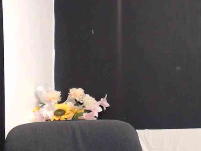 Feyka-dream webcam