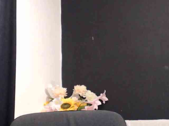 Feyka-dream webcam