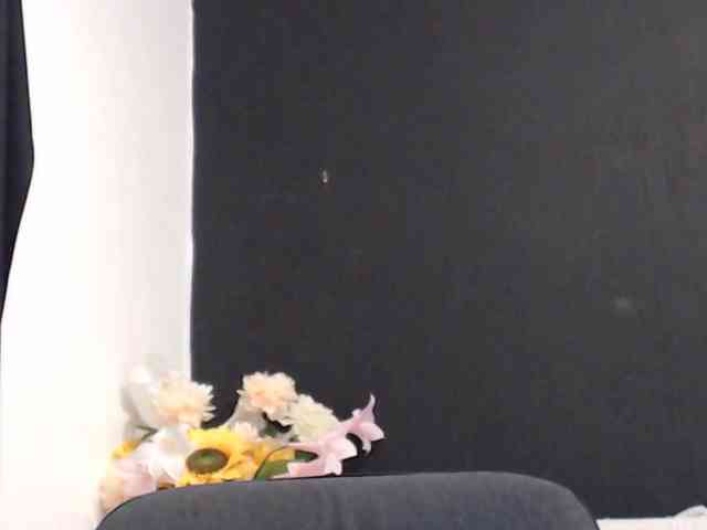 Feyka-dream webcam
