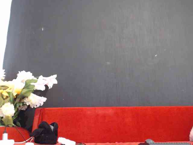 Feyka-dream webcam