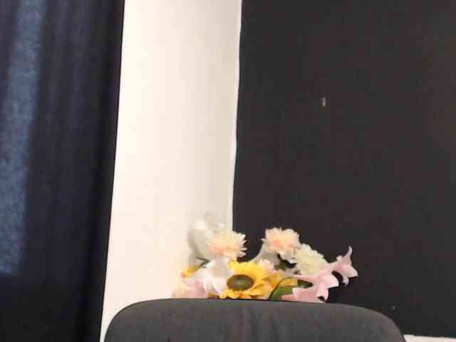 Feyka-dream webcam