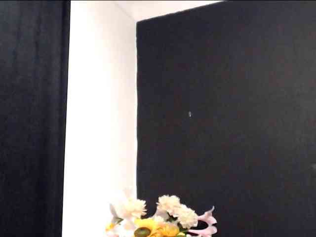 Feyka-dream webcam