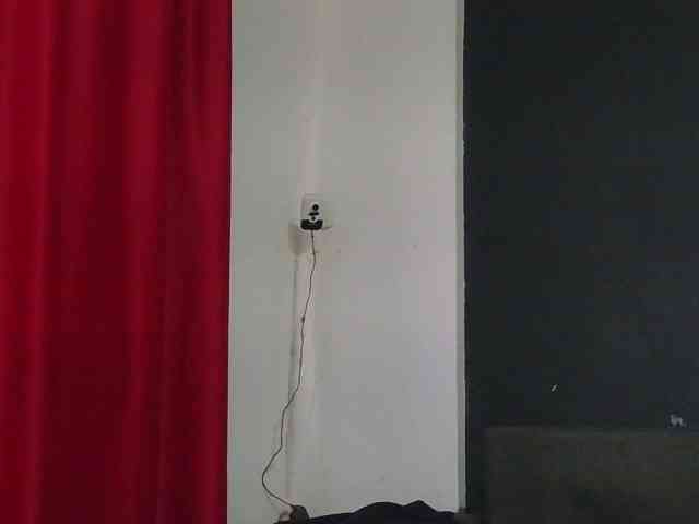 HotVenesse webcam