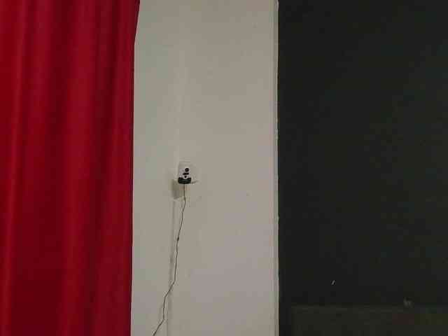 HotVenesse webcam