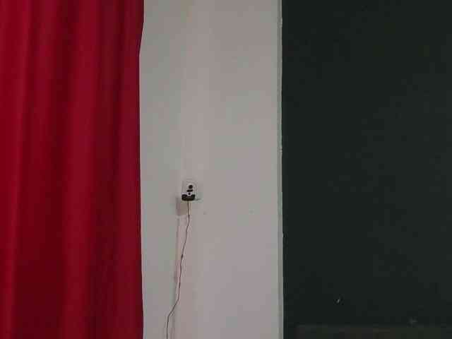 HotVenesse webcam