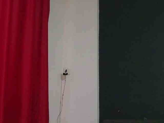 HotVenesse webcam