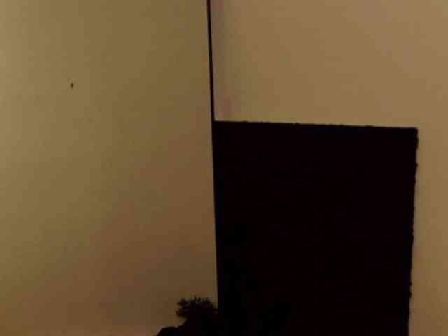 AryaJoliee
