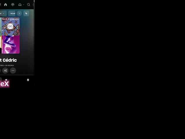 KmilleX webcam