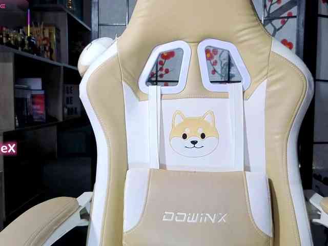 KmilleX webcam