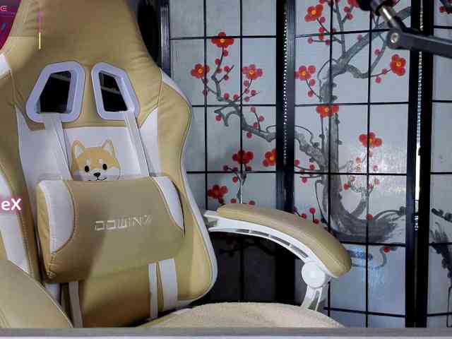 KmilleX webcam