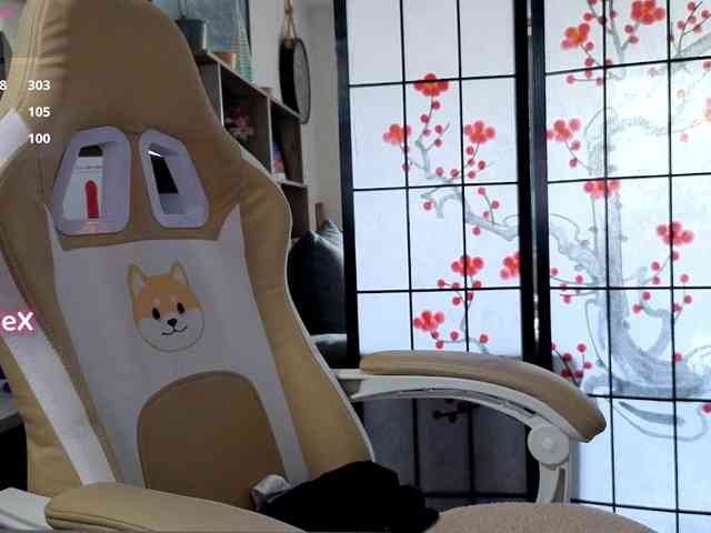 KmilleX webcam