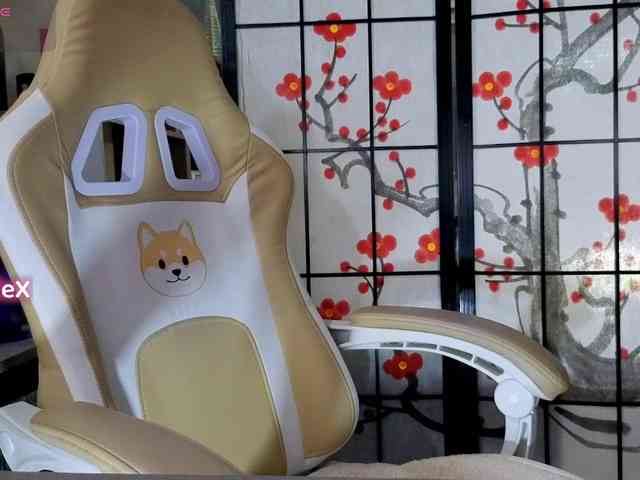 KmilleX webcam