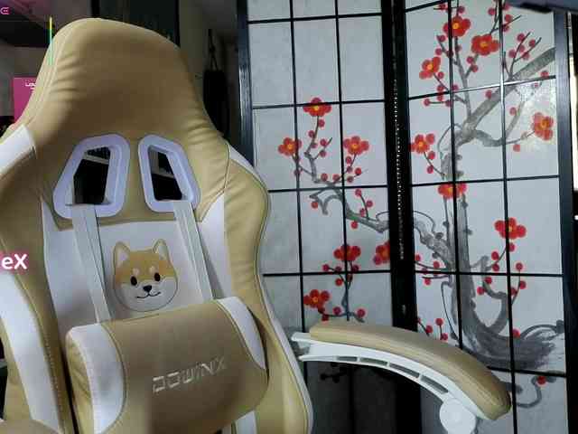 KmilleX webcam
