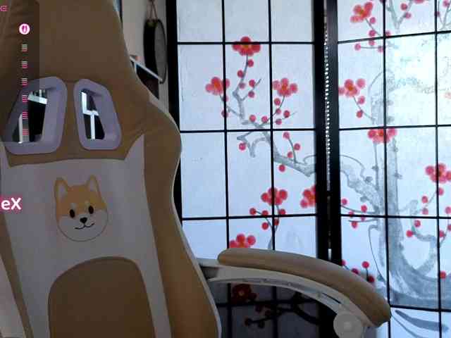 KmilleX webcam