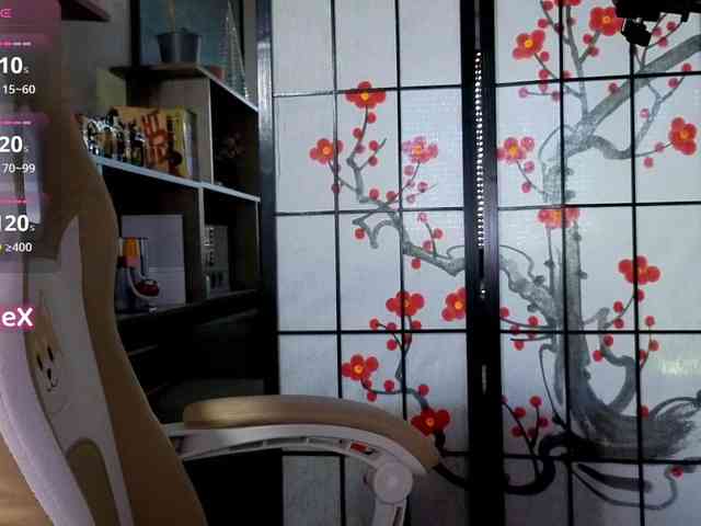 KmilleX webcam