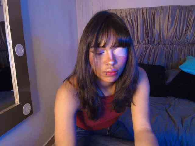 Dakashyten webcam
